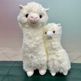 Plush Soft Toy - Alpaca | (Islandwide Delivery)