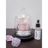 Cryscent Premium Crystal Aromatherapy with Rose Quartz Set