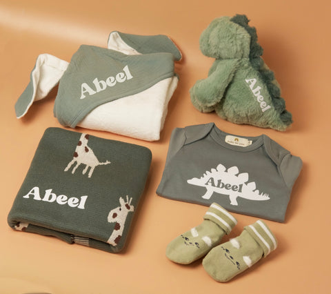 Premium Very Roarsome Baby Boy Gift Set (Islandwide Delivery)