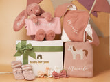 Celebrate Baby Gift Set for Baby Girl (Islandwide Delivery)