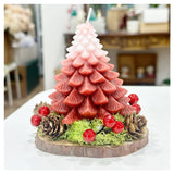 Christmas : Christmas Candle - Snow Capped Tree  - Christmas 2025