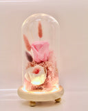 Preserved Pink Rose in Glass Dome