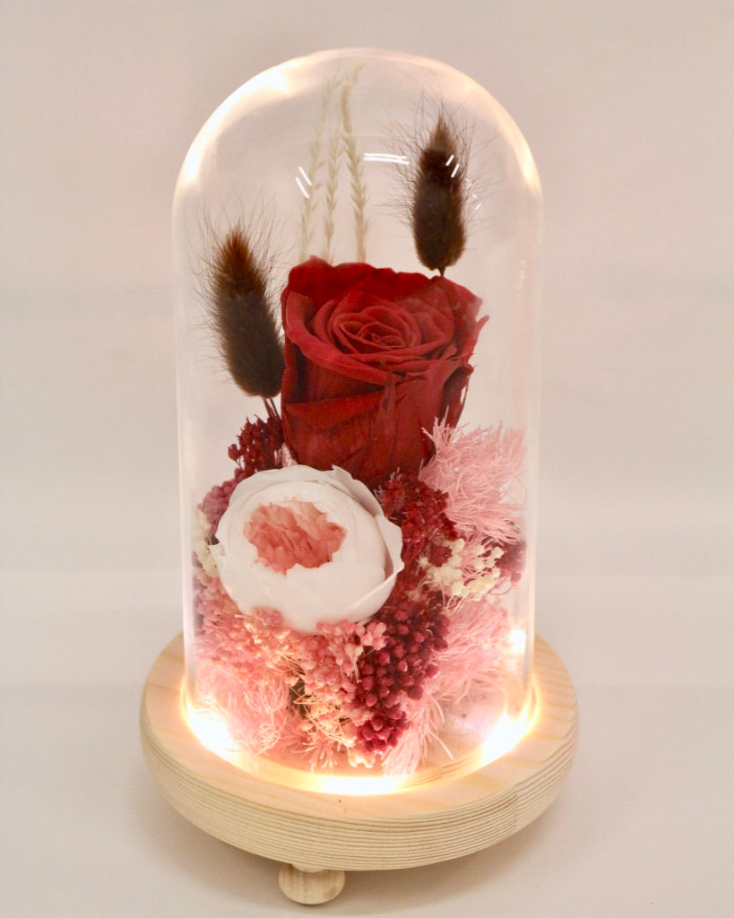 Rose In Glass Preserved Red Rose in Glass Dome | Giftr - Singapore's Leading Online ...