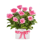 Rosy Flower Box