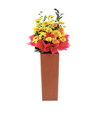 Luscious Congratulatory Flower Stand