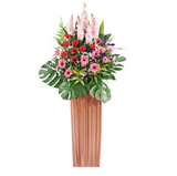 Growth Congratulatory Flower Stand
