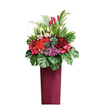 Exciting Congratulatory Flower Stand