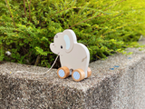 Ellie the Elephant Push and Pull Toy