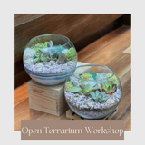 Open Succulent Terrarium Workshop