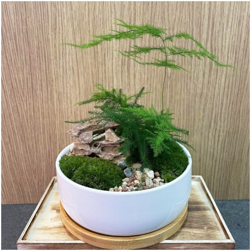zen planter pots Zen Garden Pots | Giftr