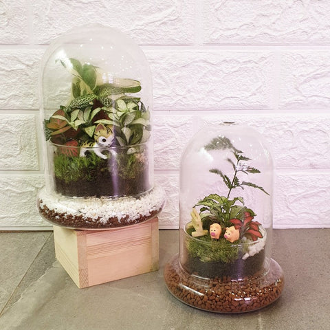 Bell Ornamental Terrarium