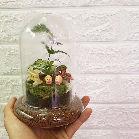 Bell Ornamental Terrarium
