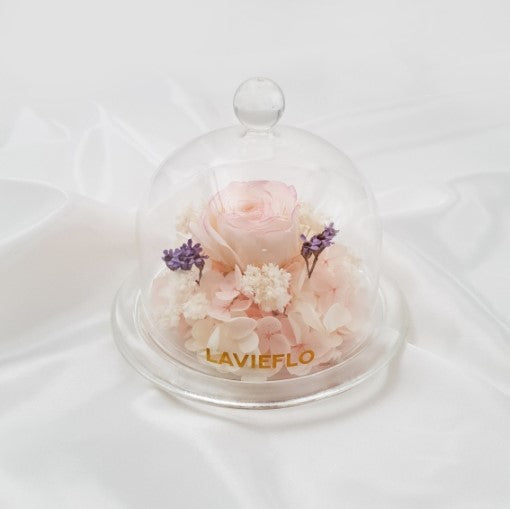Claire Preserved Flower in Glass Dome