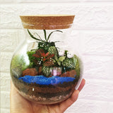 Cork Jar Ornamental Terrarium