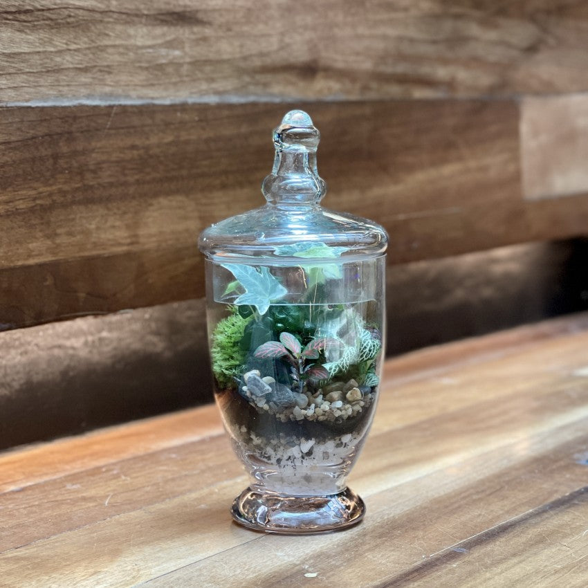 Couple Close Terrarium Workshop Giftr Singapore s Leading