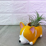 Dog Pots Series I