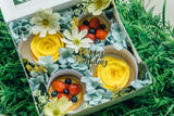 Flower Box with 4 Tartlets