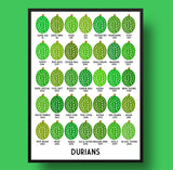 Durian Types Singapore Print