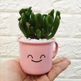 Enamel Succulent Pots