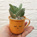 Enamel Succulent Pots