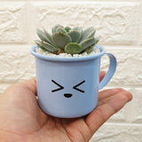 Enamel Succulent Pots