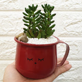 Enamel Succulent Pots