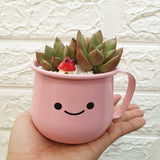 Enamel Succulent Pots