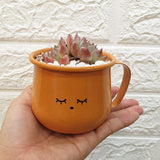 Enamel Succulent Pots