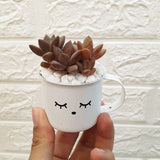 Enamel Succulent Pots