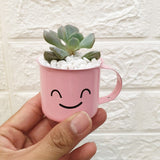 Enamel Succulent Pots