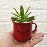 Enamel Succulent Pots