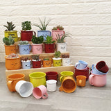 Enamel Succulent Pots