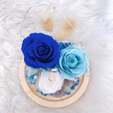 Frozen Blue Preserved Flower Dome with LED Light