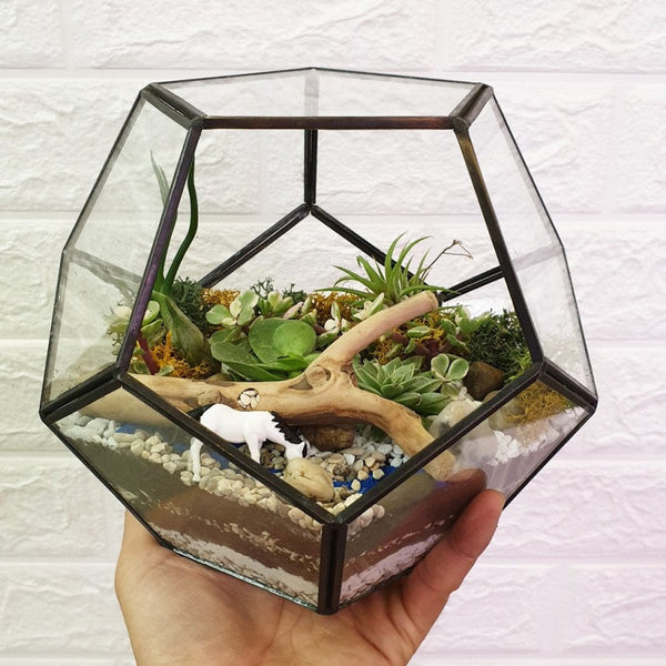 Geo Hexagon Terrariums Giftr Singapore's Leading Online Gift Shop