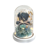 Katsumi Bear Preserved Flower Dome with LED Light
