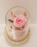 Preserved Pink Rose in Glass Dome
