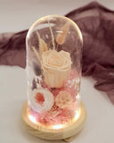 Preserved Champagne Rose in Glass Dome